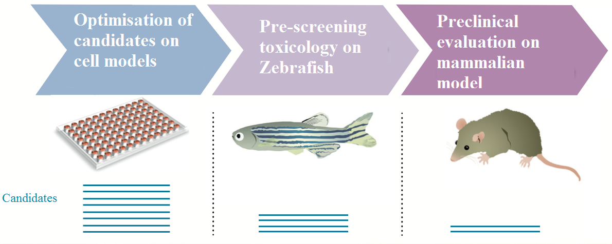 Atoxigen - ADME Tox model of zebrafish in the embryo-larvae stage