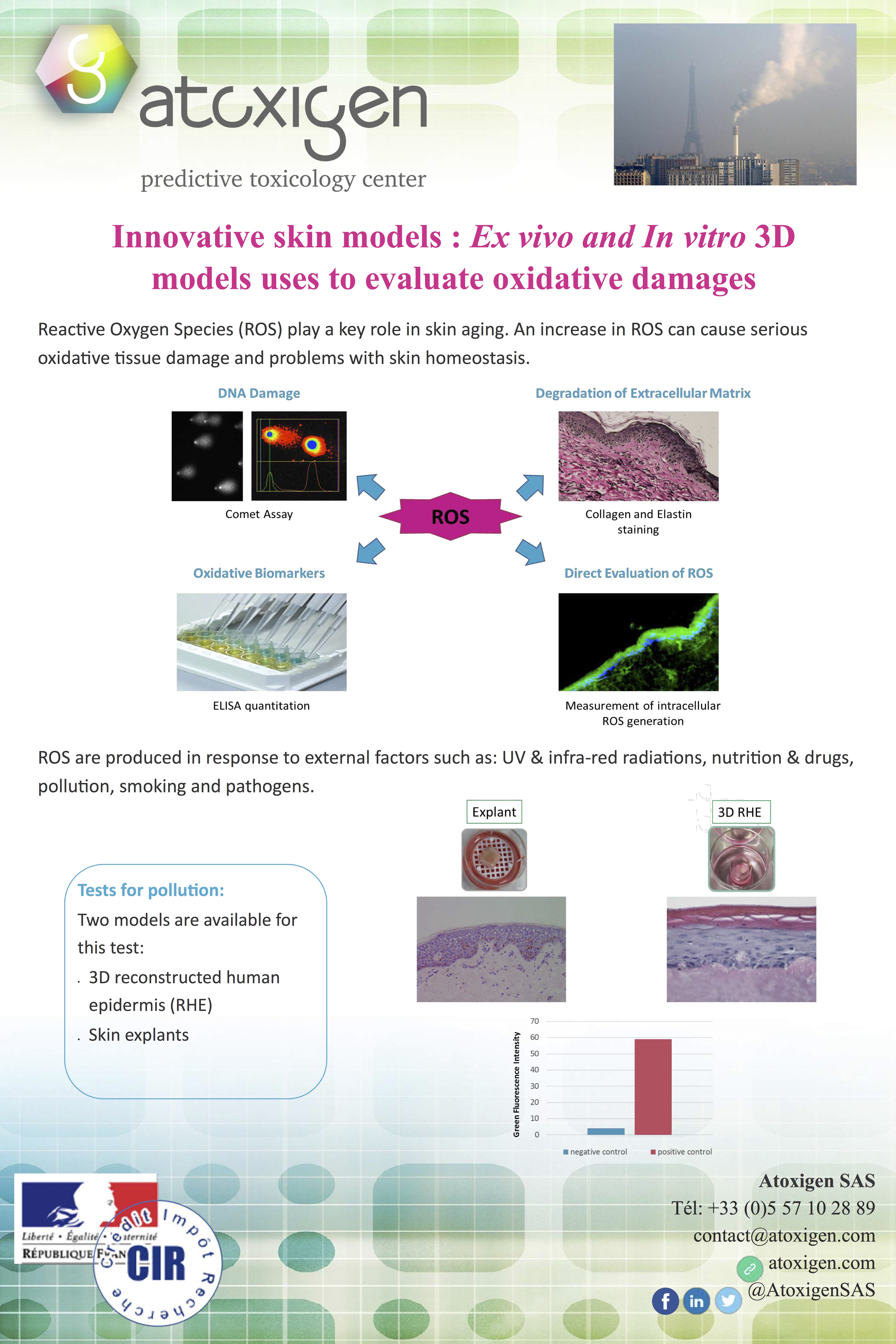 Radicaux libres : oxidative stress